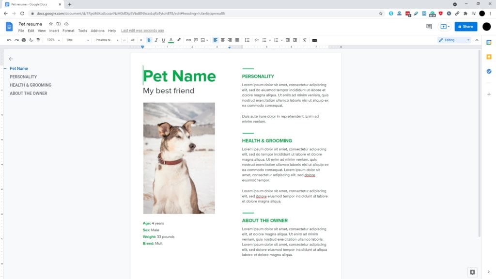google docs document 1 How to Change Page Margins In Google Docs?