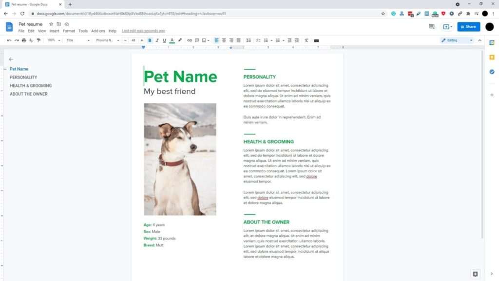 google docs document 1 How to Change Page Margins In Google Docs?