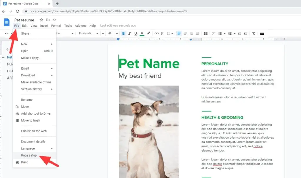 page setup 2 How to Change Page Margins In Google Docs?
