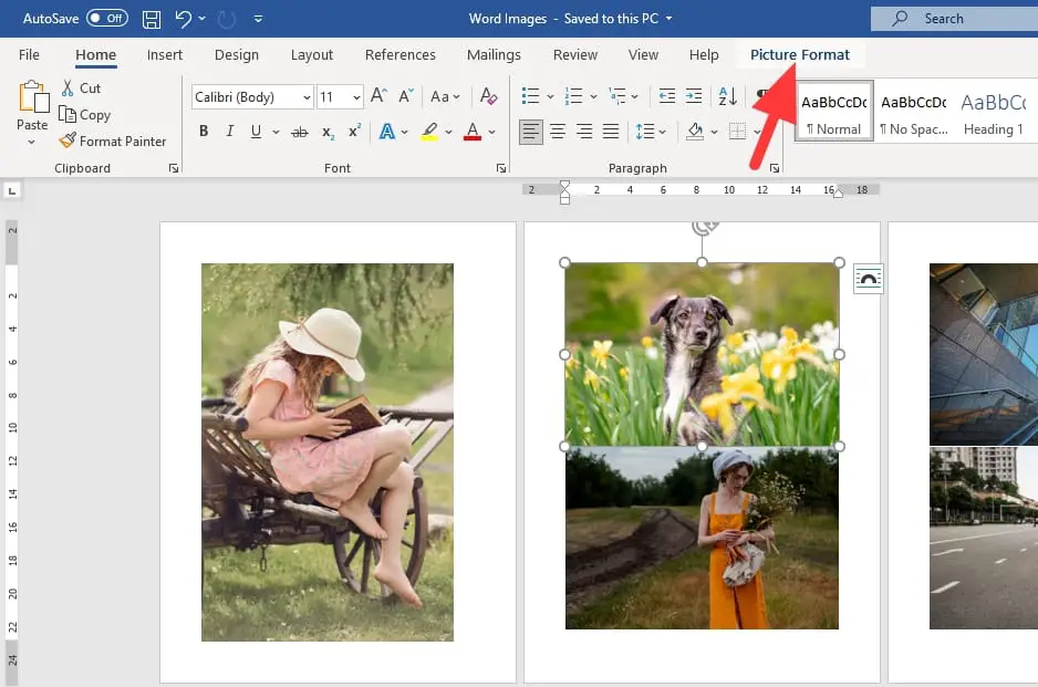picture format 2 How to Compress Pictures in Word Without Affecting Their Quality