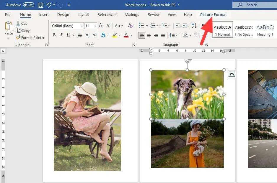 picture format 2 How to Compress Pictures in Word Without Affecting Their Quality