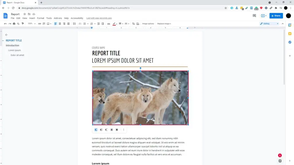 border added How to Add Borders to an Image on Google Docs