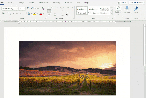 another way of resizing an image in microsoft word How to Precisely Resize an Image in Microsoft Word