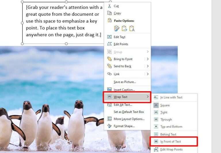 How to Write Text on Top of a Picture in Microsoft Word - Vegadocs