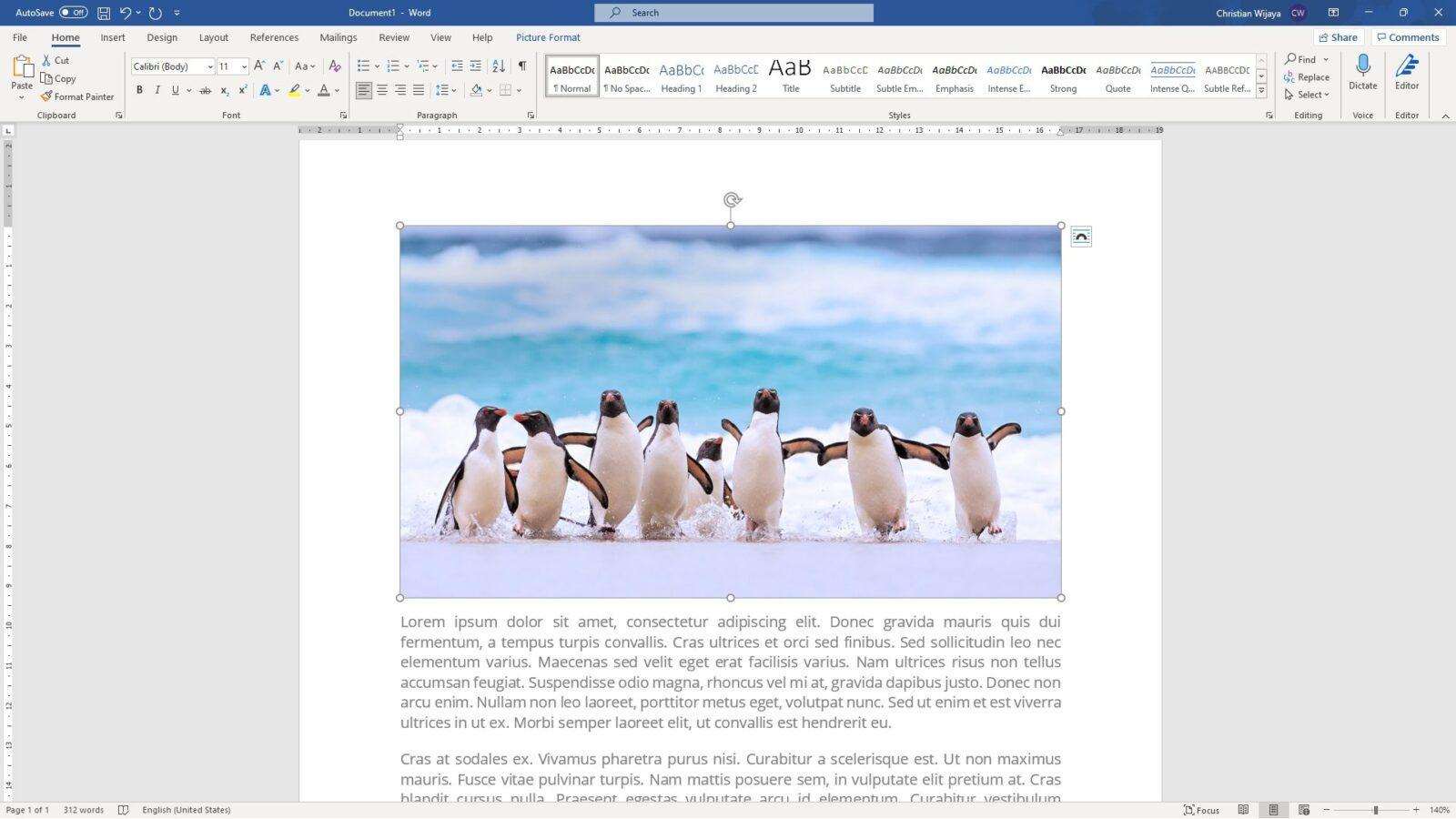 How to Write Text on Top of a Picture in Microsoft Word - Vegadocs