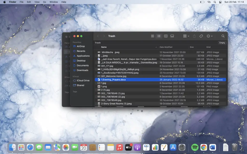 Screen Shot 2022 02 20 at 17.14.53 How To Recover Unsaved Word Document from Mac Trash Bin