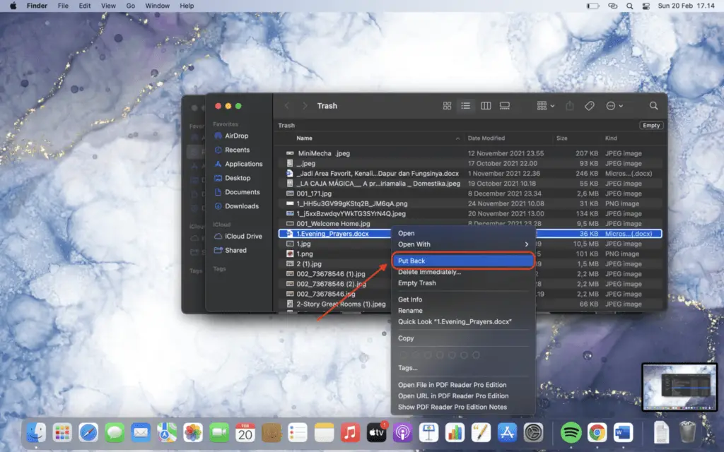 Screen Shot 2022 02 20 at 17.14.59 1 How To Recover Unsaved Word Document from Mac Trash Bin