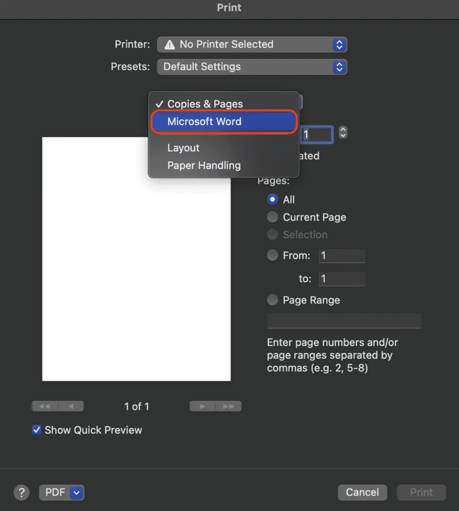 Screen Shot 2022 06 30 at 10.26.05 How To Print Double-Sided On Microsoft Word Mac