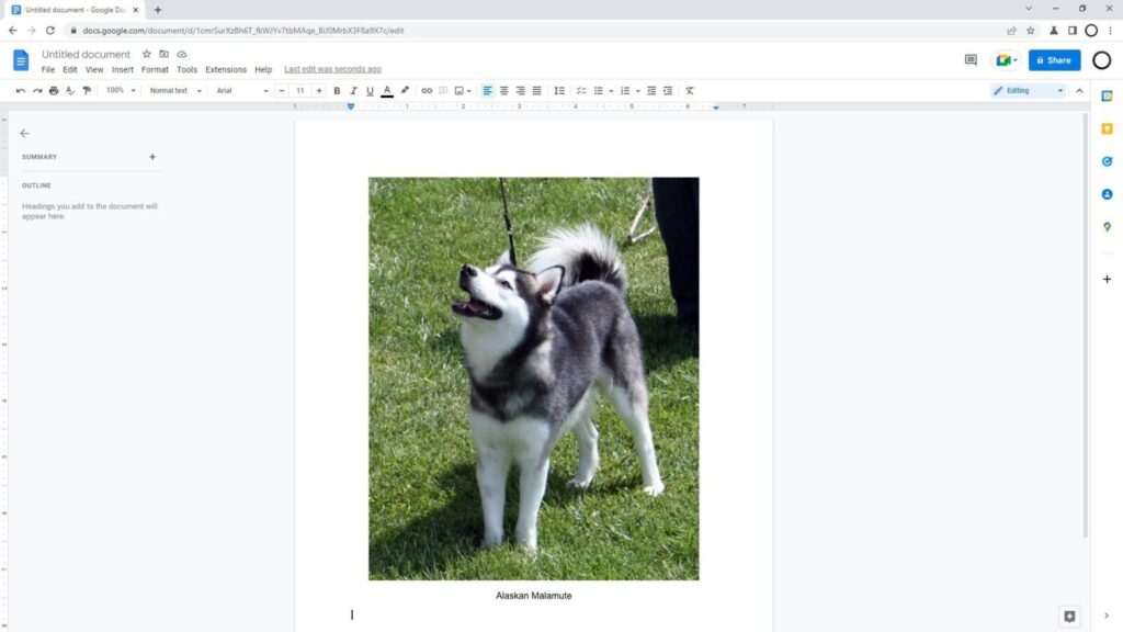 caption image google docs How to Caption an Image in Google Docs Using 'Drawing'