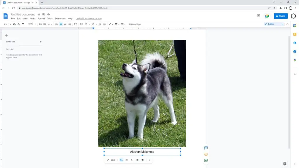 caption on image How to Caption an Image in Google Docs Using 'Drawing'