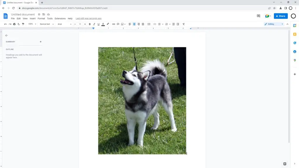 insert an image How to Caption an Image in Google Docs Using 'Drawing'