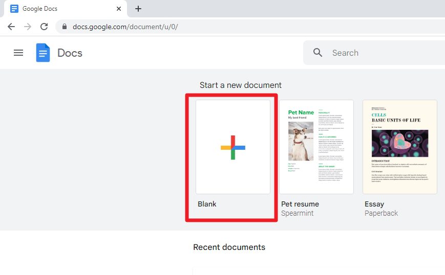 blank document How to Change Default Paragraph Font in Google Docs‍