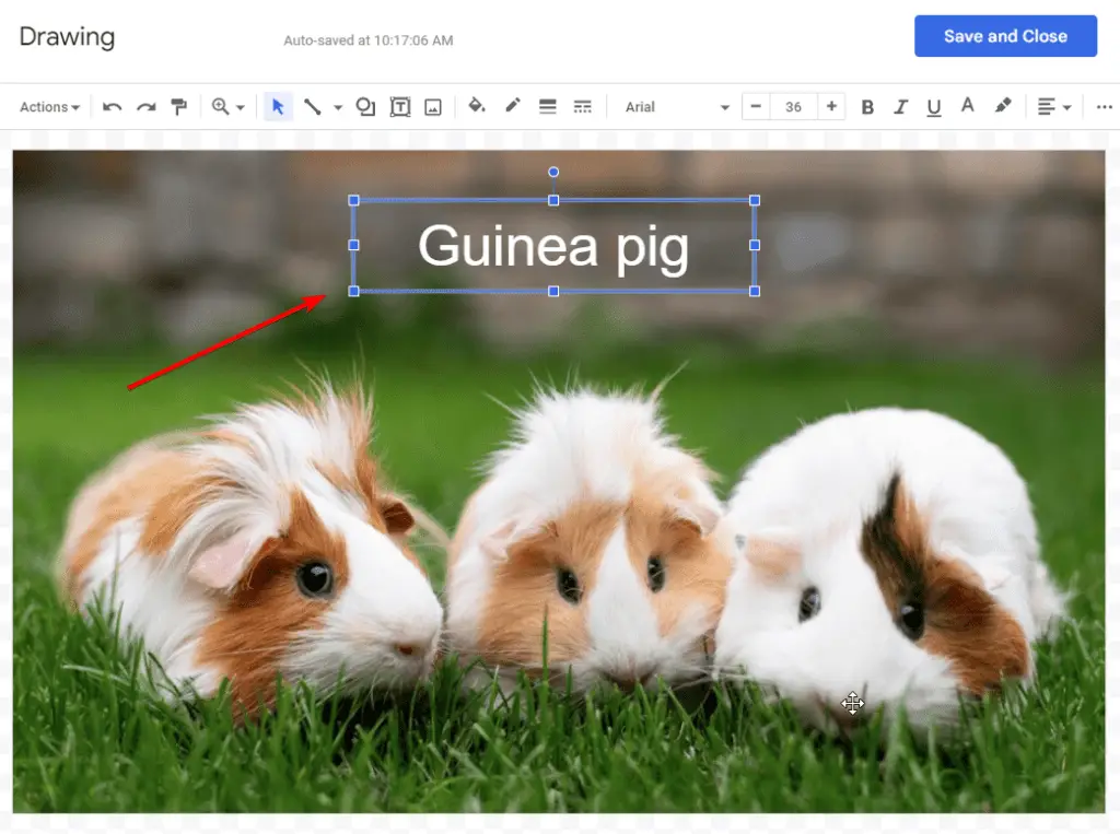 How to Put Text On Top of Picture in Google Docs Vegadocs
