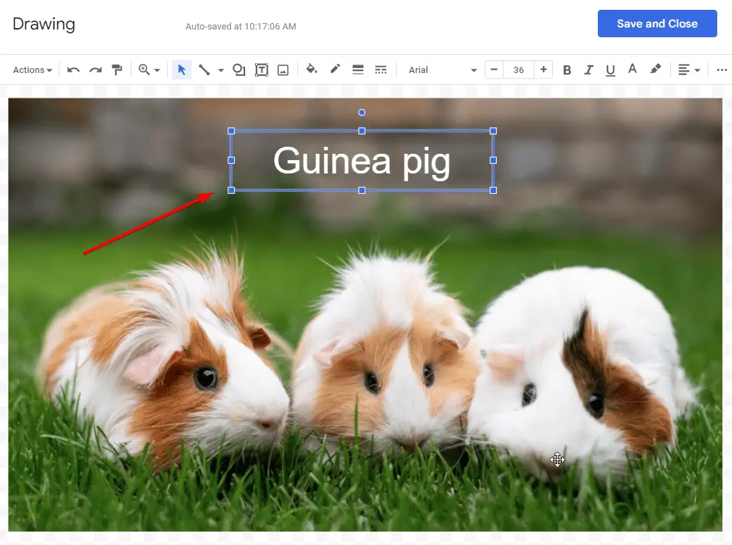 l16 How to Put Text On Top of Picture in Google Docs