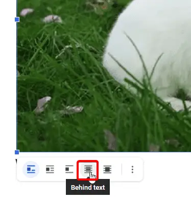 l4 How to Put Text On Top of Picture in Google Docs