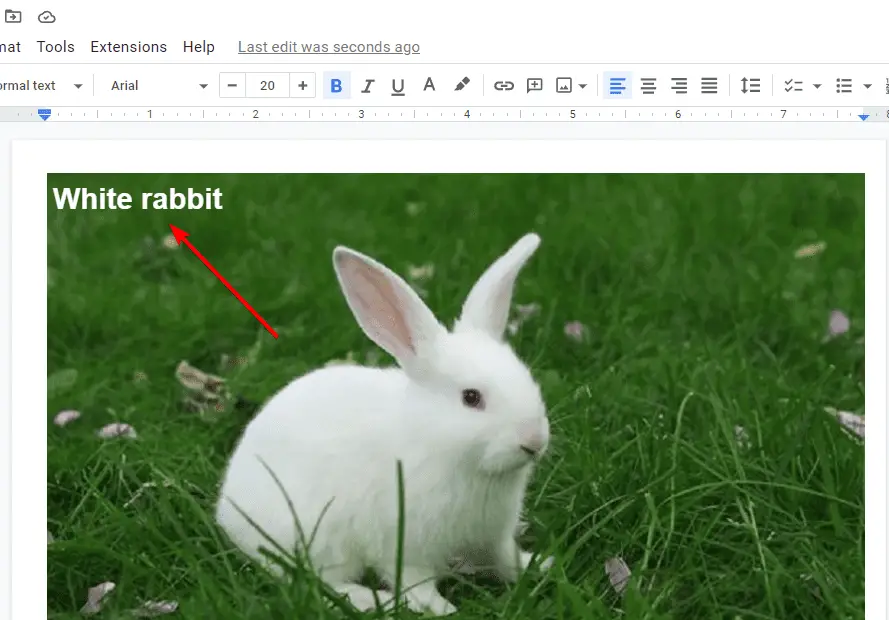 l5 How to Put Text On Top of Picture in Google Docs