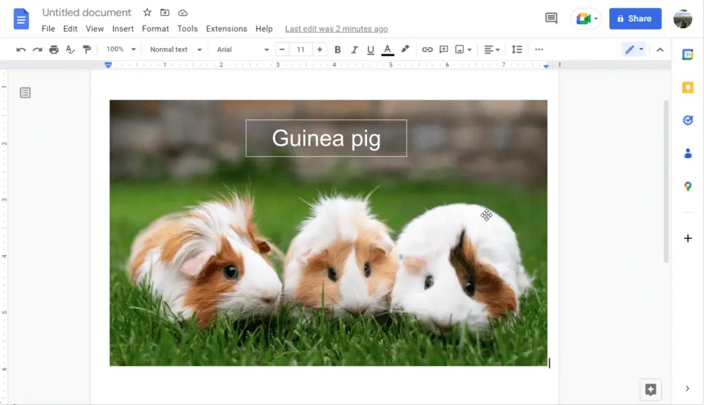 lcov How to Put Text On Top of Picture in Google Docs
