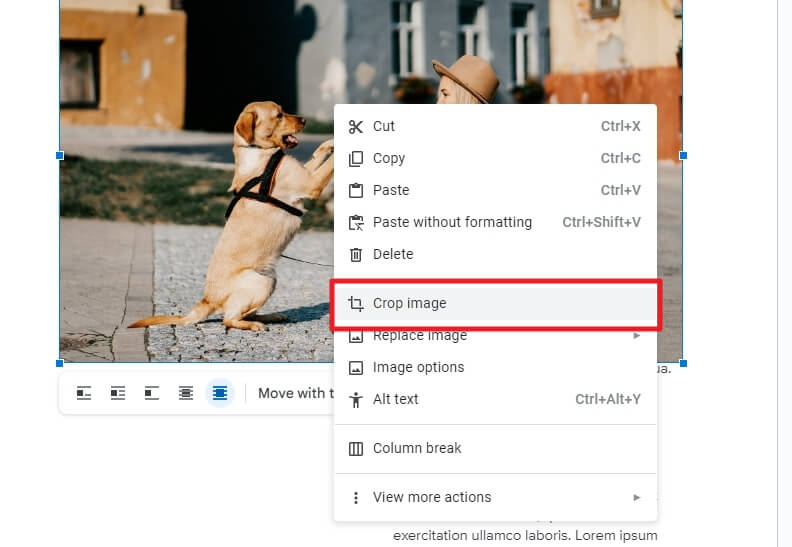 Image 184 How to Crop an Image in Google Docs