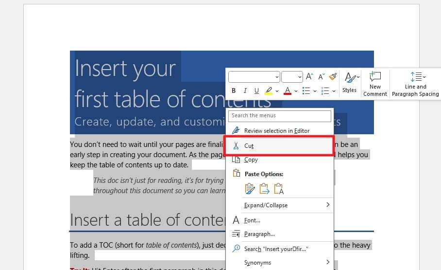 Using Cut and Paste How to Move a Page in Ms. Word (2 Methods)