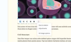 How to Wrap Text in Google Docs - Vegadocs